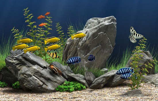 Dream Aquarium С Ключом Активации