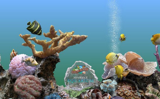 SereneScreen Marine Aquarium v. 3. 2. 5991 (ENG, 2011) - скачать ... SereneScreen Marine Aquarium v. 3. 2. 5991 (ENG, 2011) - скачать ...