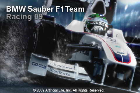 BMW Sauber F1 Team Racing