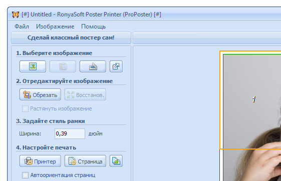 RonyaSoft Poster Printer