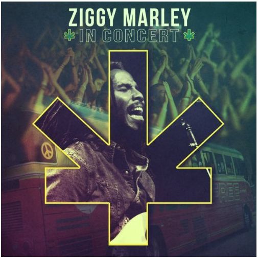 Ziggy Marley - In Concert 2013