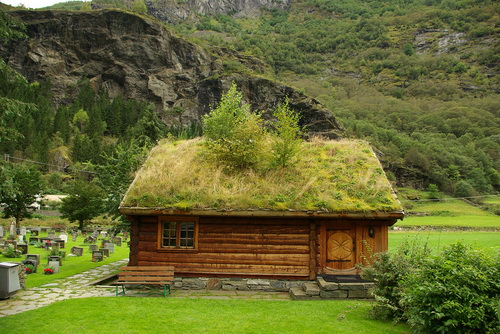 В Норвегии самые травяные крыши