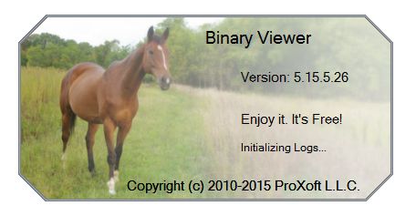 Binary Viewer 