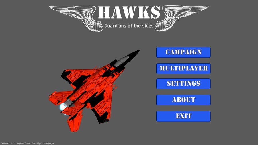 Hawks Guardians of the Skies