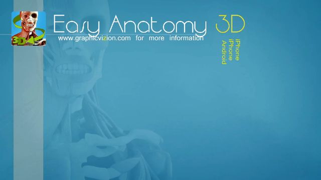 Easy Anatomy 3D