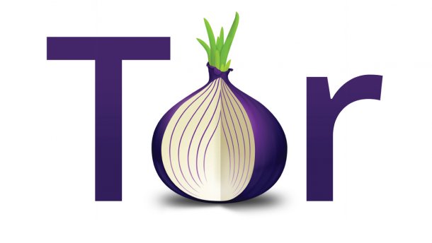 В Госдуме предлагают ограничить доступ к анонимной сети Tor