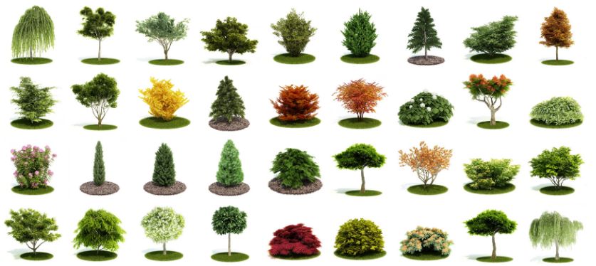Скачать Evermotion Archmodels Vol 52 бесплатно