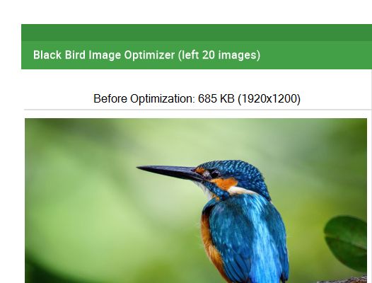 Black Bird Image Optimizer