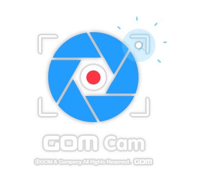 does gom cam crash