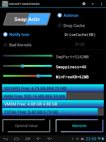 ROEHSOFT RAM Expander скачать бесплатно