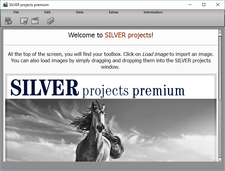 Franzis Silver Projects Premium 