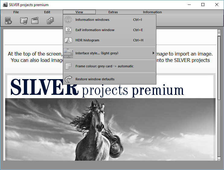 Franzis Silver Projects Premium 