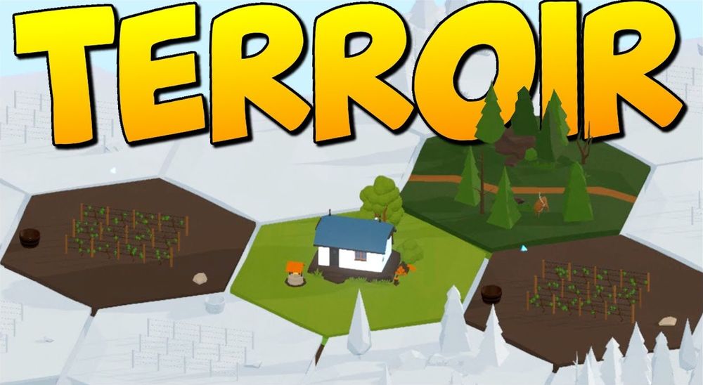 Terroir