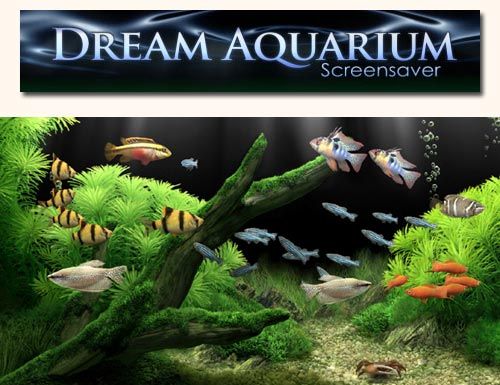 Dream Aquarium Screensaver 1.293 + Portable + Repack