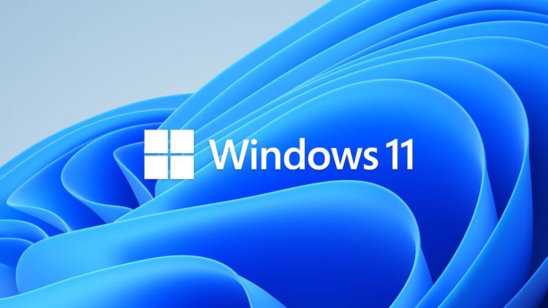 Windows 11: новая ошибка - проблема с ASCII