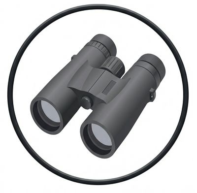 Shortcuts Search And Replace