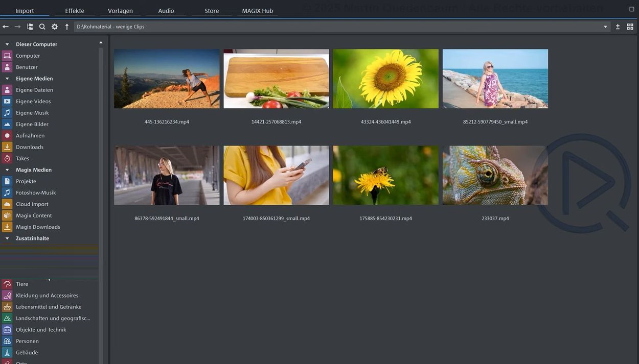 Magix Video Deluxe 2014 Plus