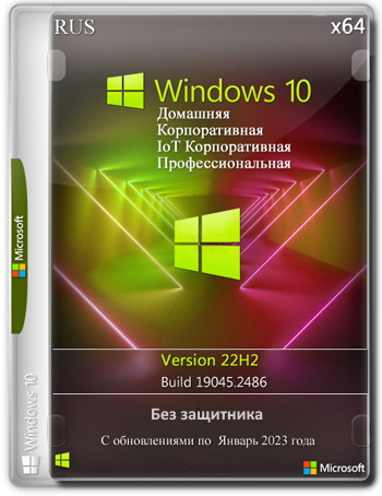 Windows 10 22H2 19045.2486 x64 Rus