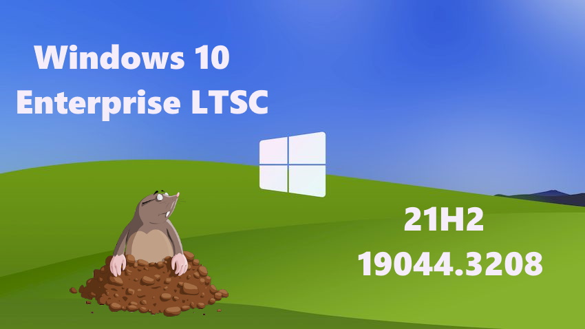 Windows 10 LTSC x64 Rus 21H2 Build 19044.3208