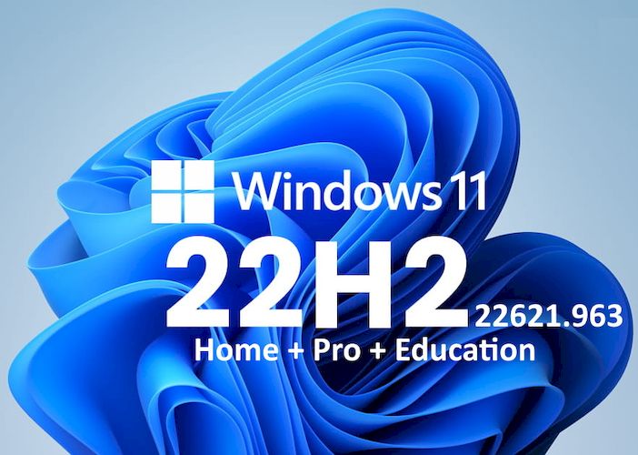 Windows 11 22H2 22621.963 x64