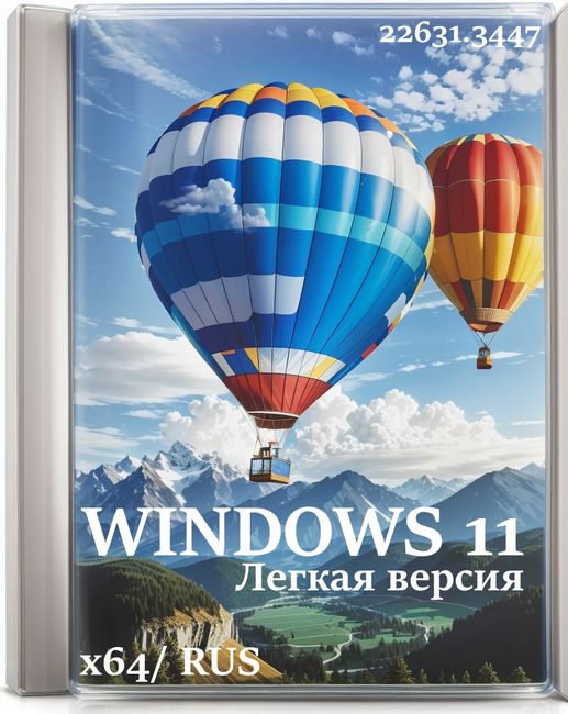  Windows 11 x64     - 2 GB
