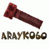 ARayKo60