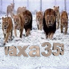 vaxa353