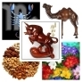 WoodenBull