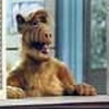 Alf_Cooler