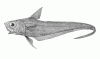 Lendvik